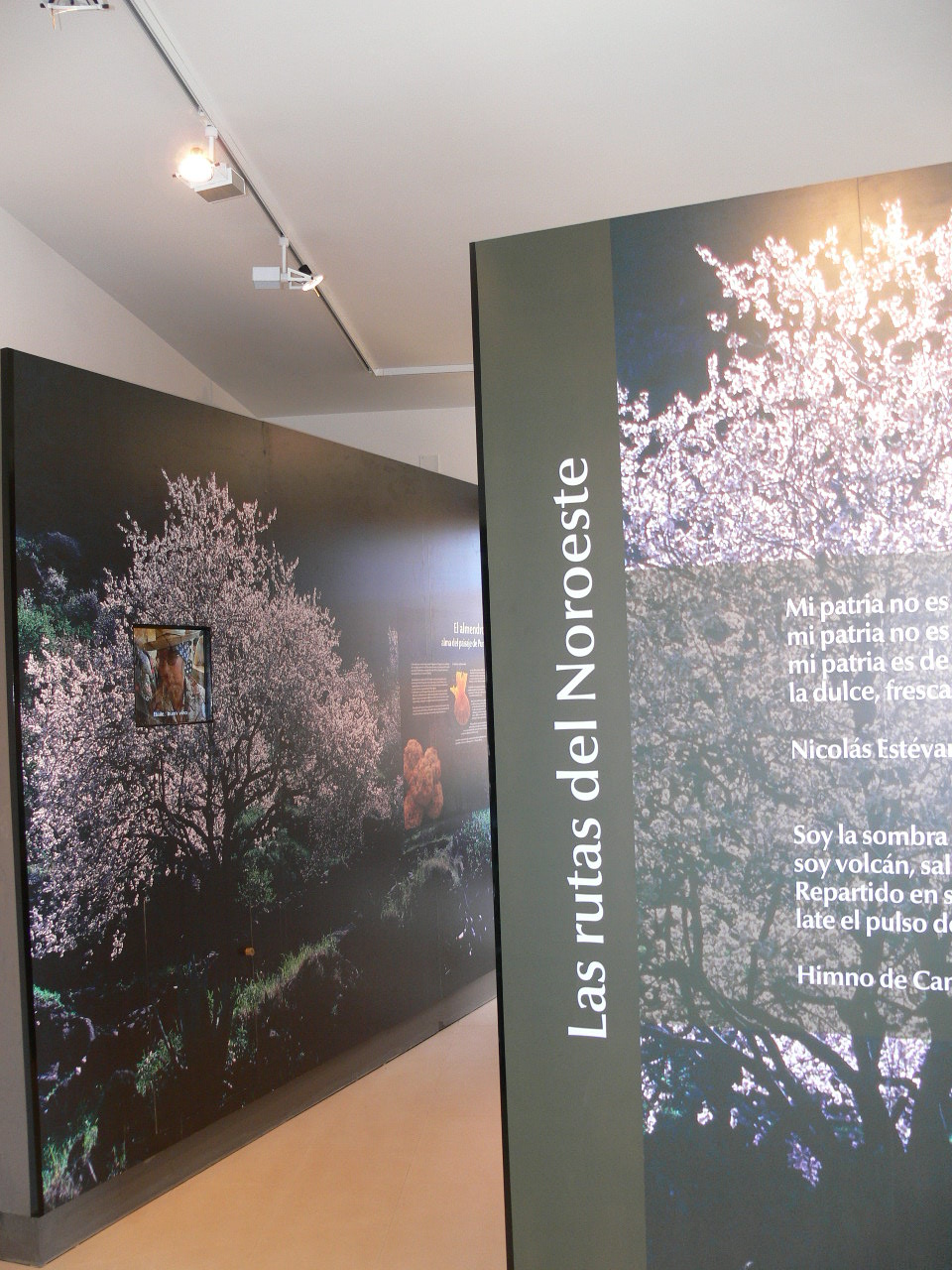 Centro de Interpretación Ambiental de Puntagorda, La Palma
