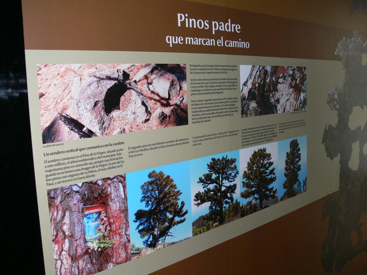 Centro de Interpretación Ambiental de Puntagorda, La Palma