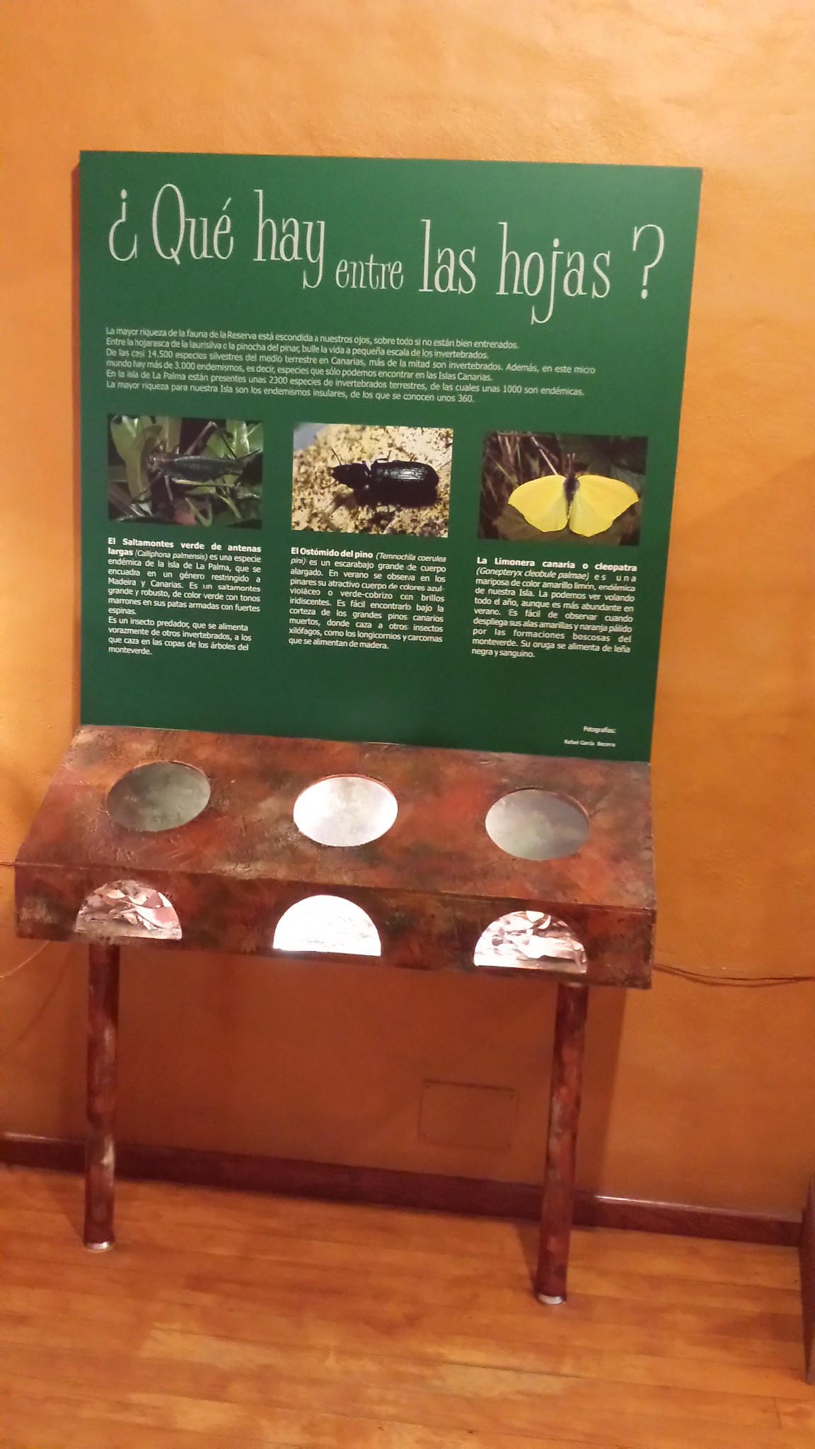  Centro de Interpretación de Los Tilos, La Palma