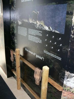 Centro de Interpretación Ambiental de Puntagorda, La Palma