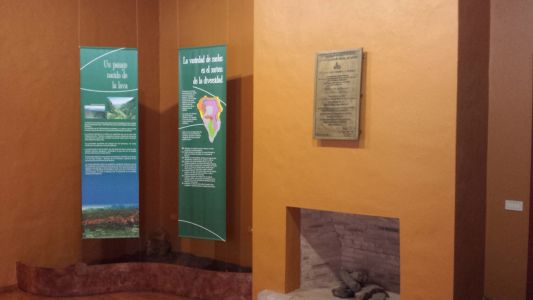  Centro de Interpretación de Los Tilos, La Palma