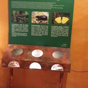 Centro de Interpretación de Los Tilos, La Palma
